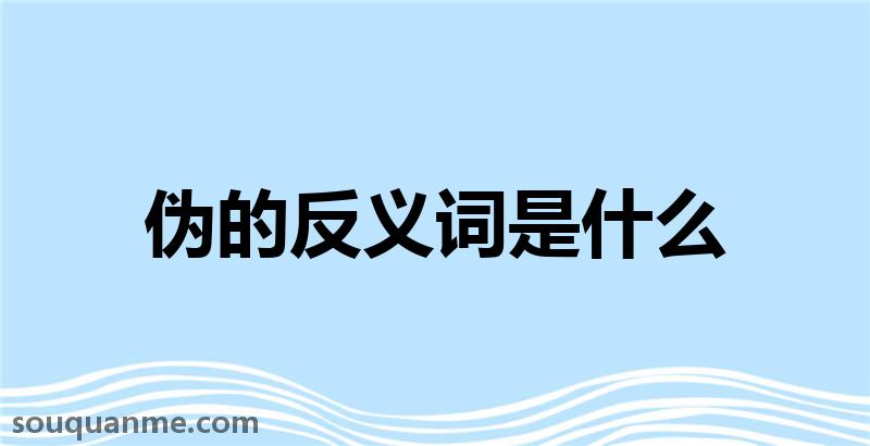 伪的反义词是什么 伪的读音拼音 伪的词语解释